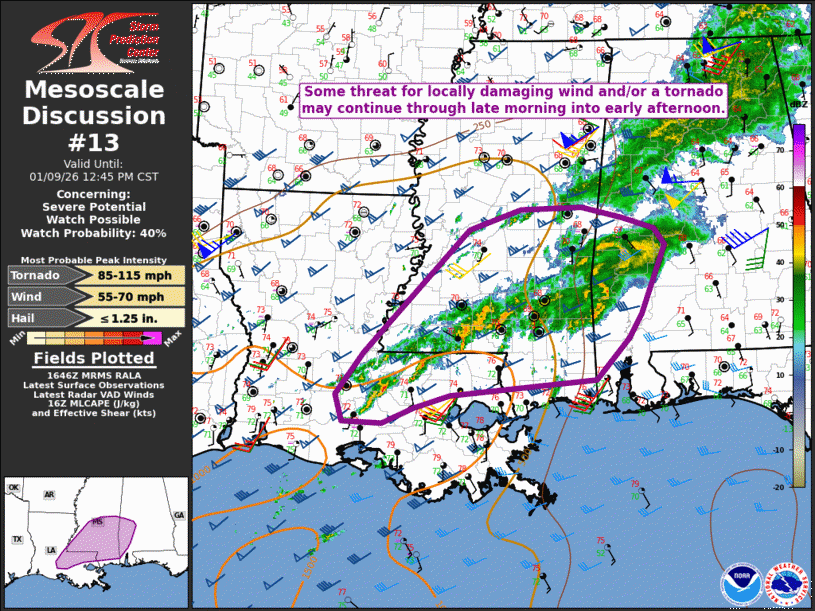 Mesoscale Discussion 13