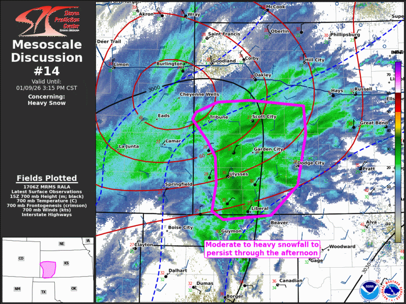 Mesoscale Discussion 14