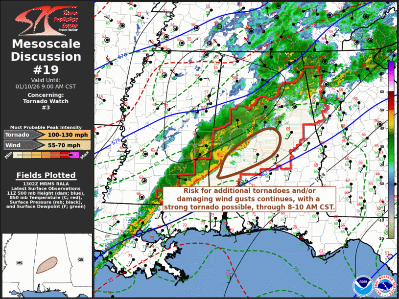 Mesoscale Discussion 19