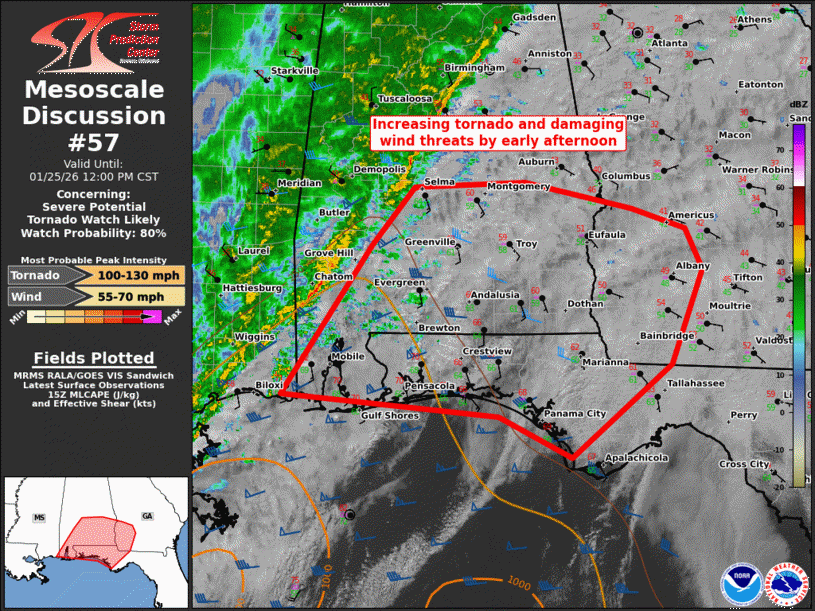 Mesoscale Discussion 57