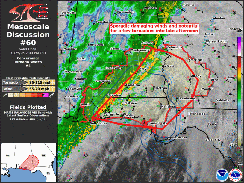 Mesoscale Discussion 60