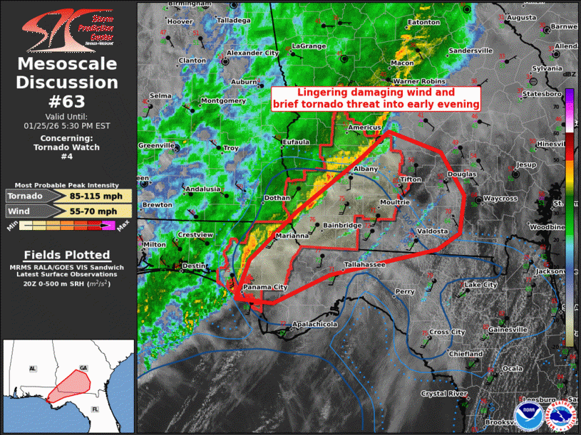 Mesoscale Discussion 63