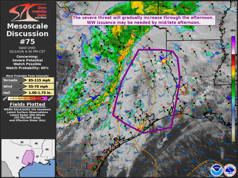 Mesoscale Discussion 75