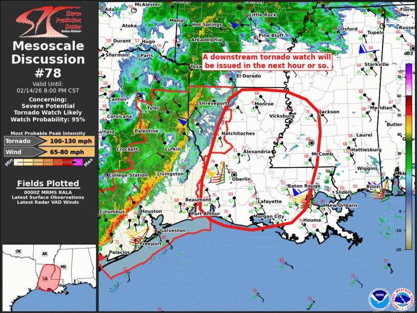 Mesoscale Discussion 78