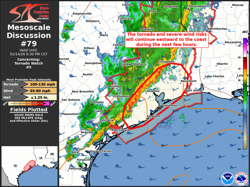 Mesoscale Discussion 79