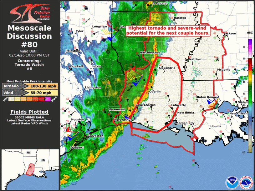 Mesoscale Discussion 80