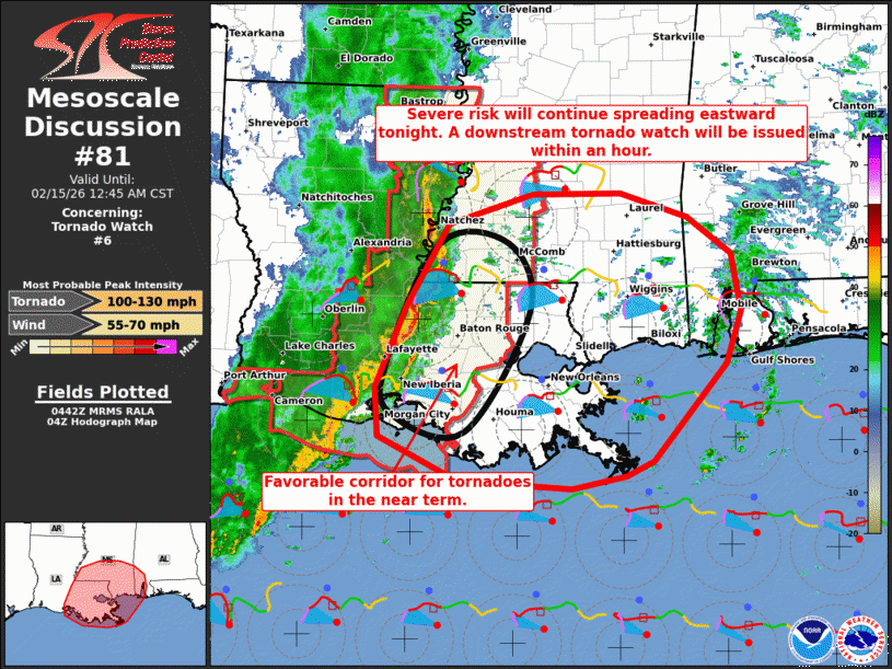 Mesoscale Discussion 81