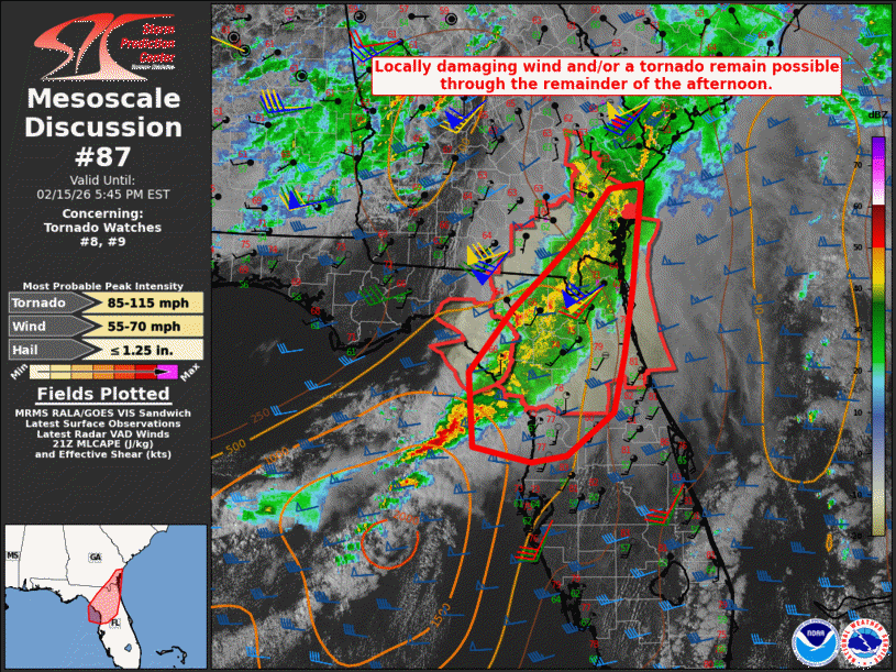 Mesoscale Discussion 87