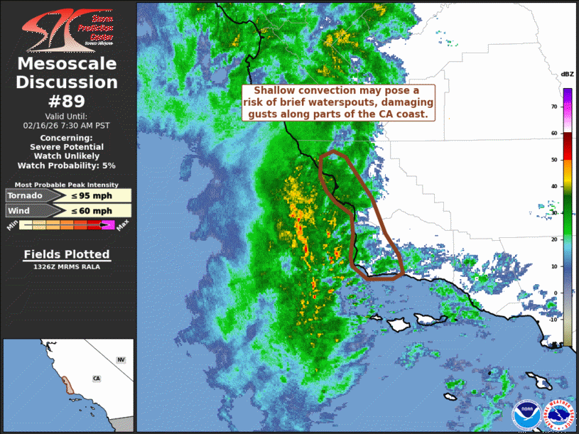 Mesoscale Discussion 89