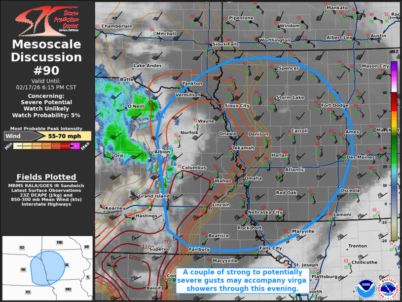 Mesoscale Discussion 90
