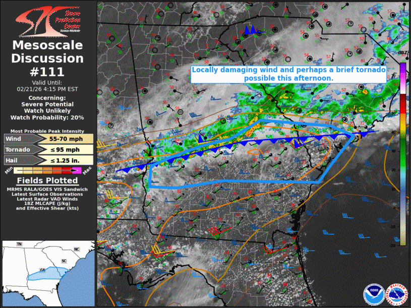 Mesoscale Discussion 111