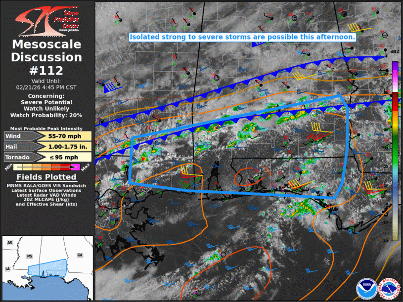 Mesoscale Discussion 112