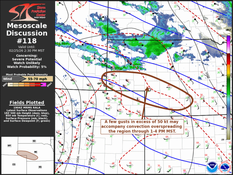 Mesoscale Discussion 118