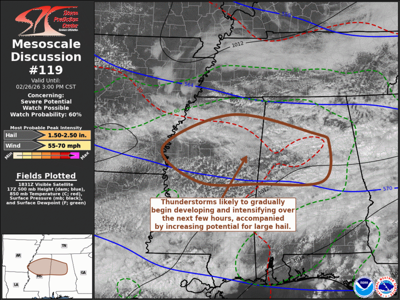 Mesoscale Discussion 119